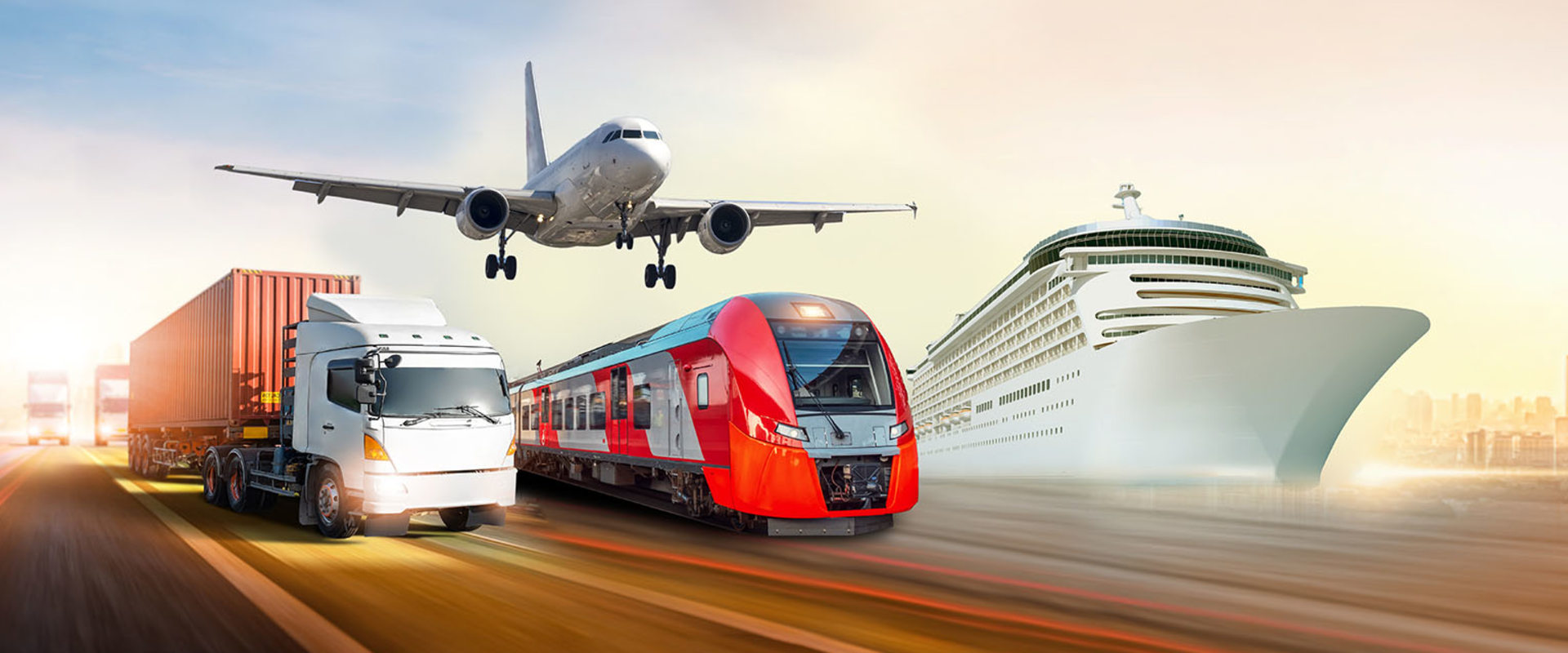 What is the function of a transport company?